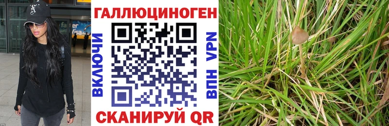 наркотики  Пугачёв  Галлюциногенные грибы Magic Shrooms 